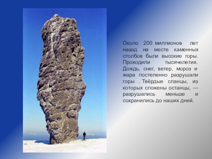  Около 200 миллионов  лет назад на месте каменных столбов были высокие