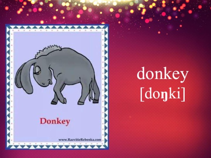 donkey [doŋki]