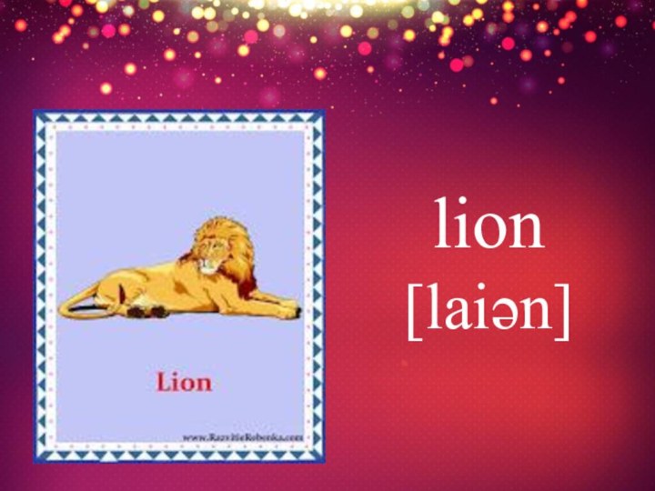 lion [laiən]