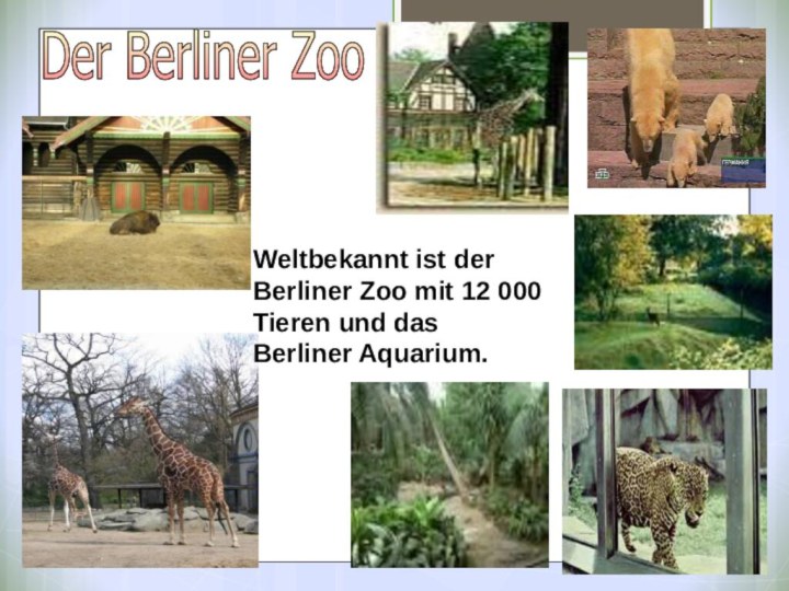 Der Berliner Zoo Weltbekannt ist der Berliner Zoo mit 12 000 Tieren und das Berliner Aquarium.