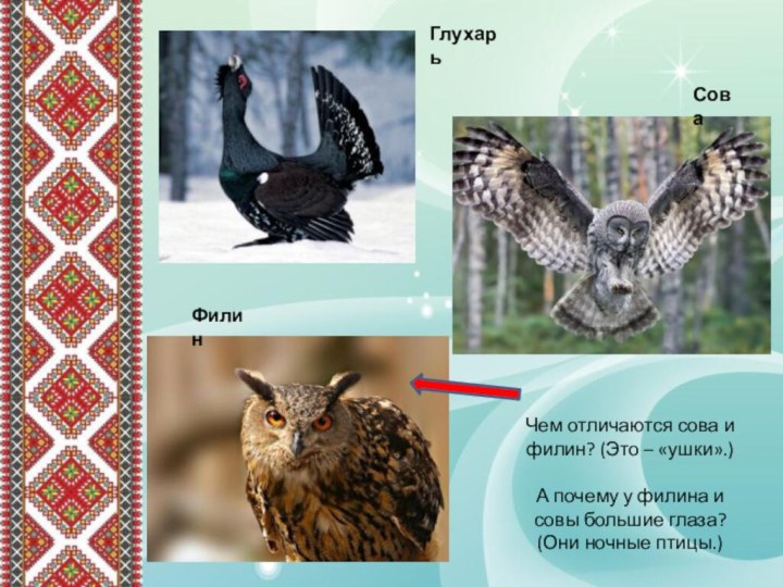 ФилинГлухарьСоваЧем отличаются сова и филин? (Это – «ушки».)А почему у филина и
