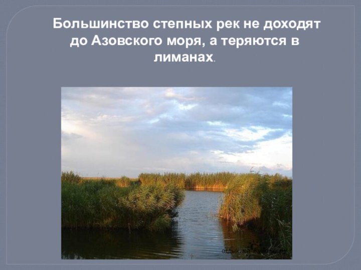 Большинство степных рек не доходят до Азовского моря, а теряются в лиманах.