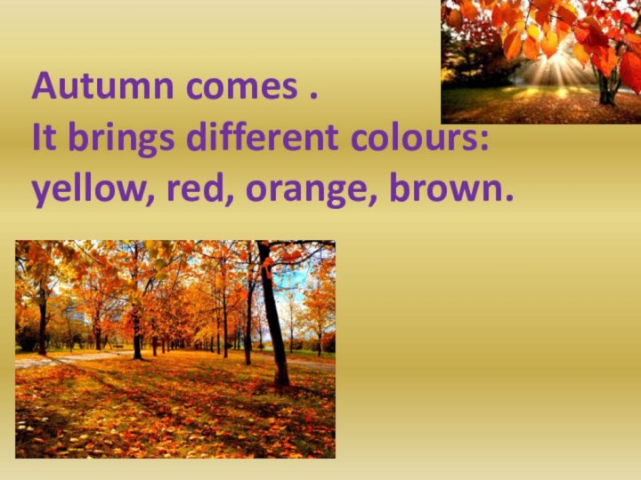 Autumn comes .It brings different colours: yellow, red, orange, brown.
