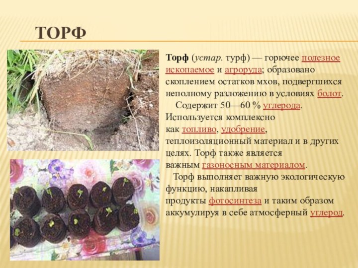 ТОРФТорф (устар. турф) — горючее полезное ископаемое и агроруда; образовано скоплением остатков мхов, подвергшихся неполному разложению