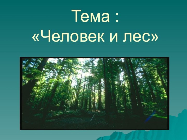 Тема : «Человек и лес»