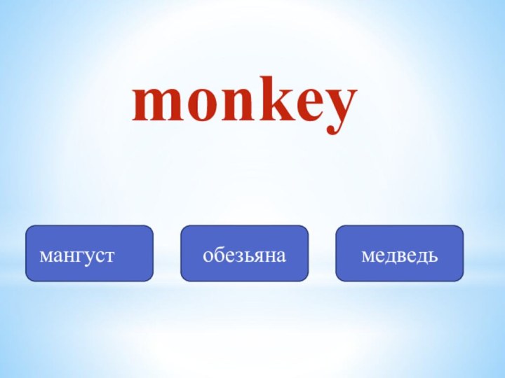 monkeyмангуст	обезьянамедведь