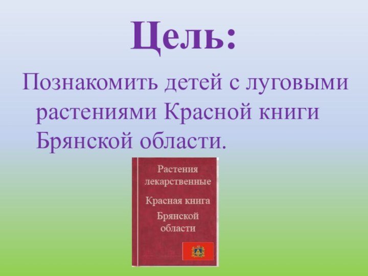 Цель: Познакомить детей с луговыми растениями Красной книги Брянской области.