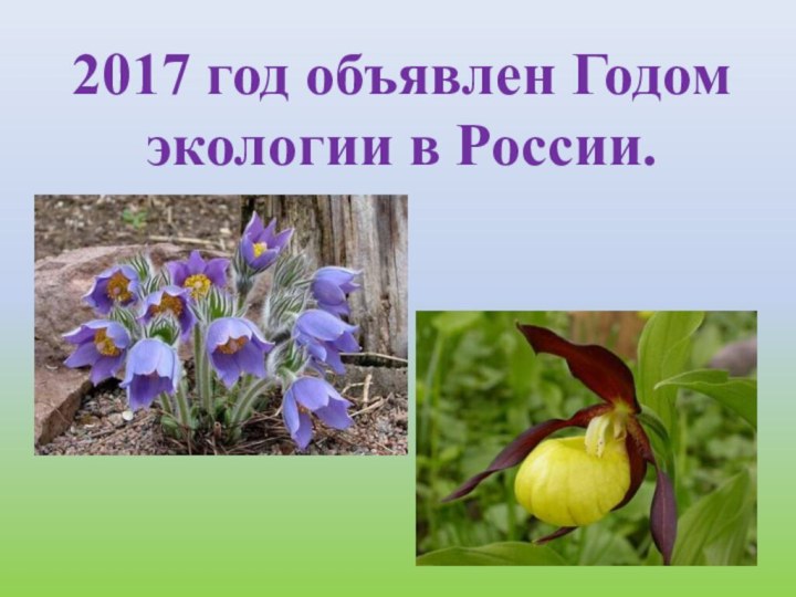2017 год объявлен Годом экологии в России.