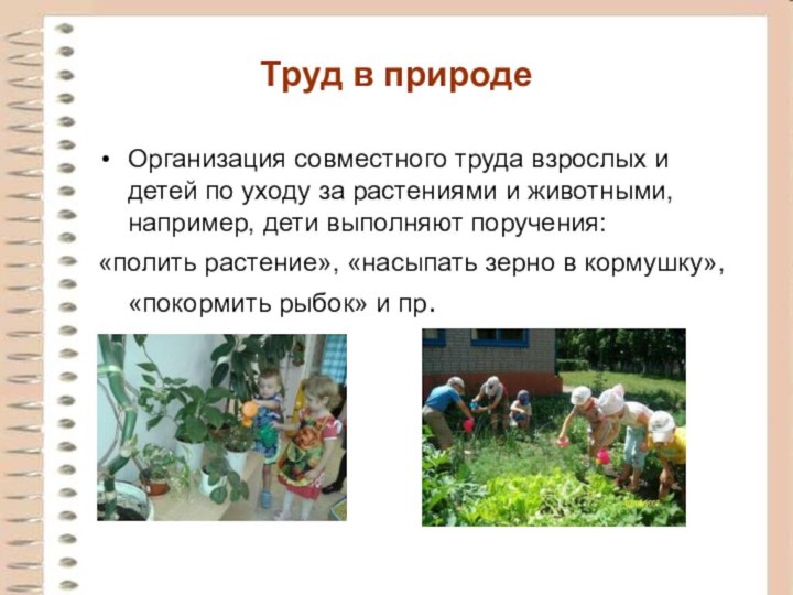 Труд в природеОрганизация совместного труда взрослых и детей по уходу за растениями