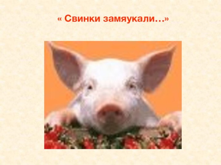 « Свинки замяукали…»
