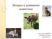 Загадки о домашних животных презентация к уроку по окружающему миру (средняя группа)