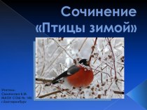 Обучающее сочинение Птицы зимой, 2 класс презентация к уроку по русскому языку (2 класс) по теме