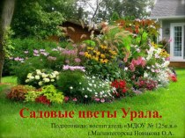 Садовые цветы Урала презентация к уроку (старшая группа)