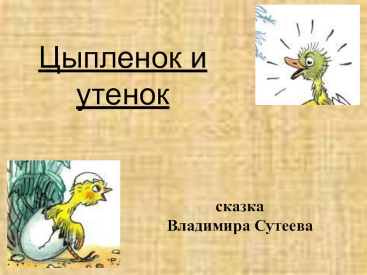 Цыпленок и утенок сказка Владимира Сутеева