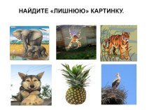 Разнообразие животных учебно-методический материал по окружающему миру (3 класс) по теме