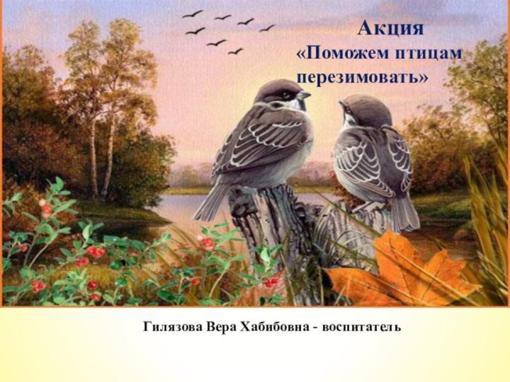 Гилязова Вера Хабибовна - воспитательАкция «Поможем птицам перезимовать»