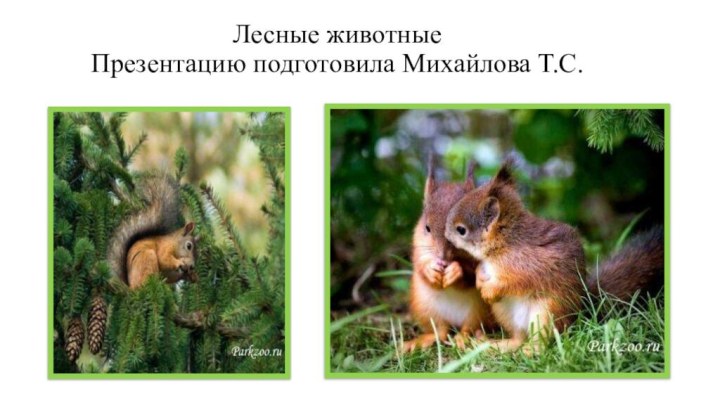 Лесные животные Презентацию подготовила Михайлова Т.С.