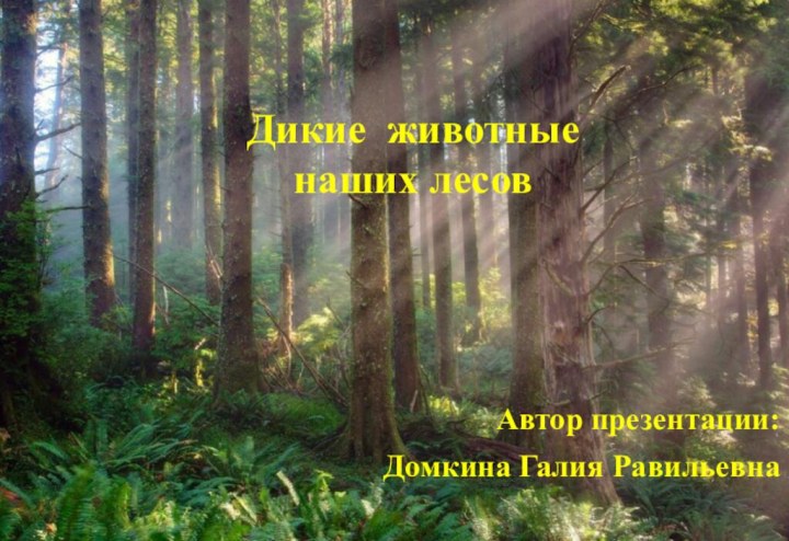 Дикие животные  наших лесовАвтор презентации: Домкина Галия Равильевна