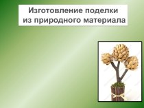 Поделка из природного материала Фисташковое дерево материал