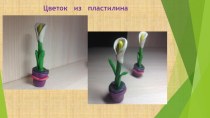 Комнатный цветок из пластилина учебно-методический материал по технологии ( класс)
