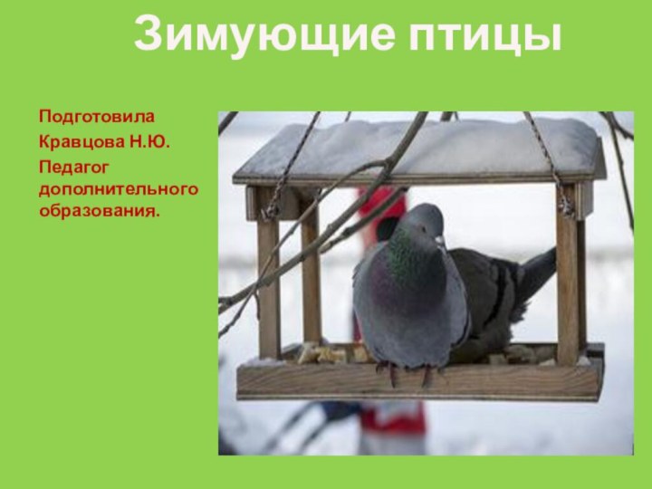 Зимующие птицыПодготовила Кравцова Н.Ю. Педагог дополнительного образования.