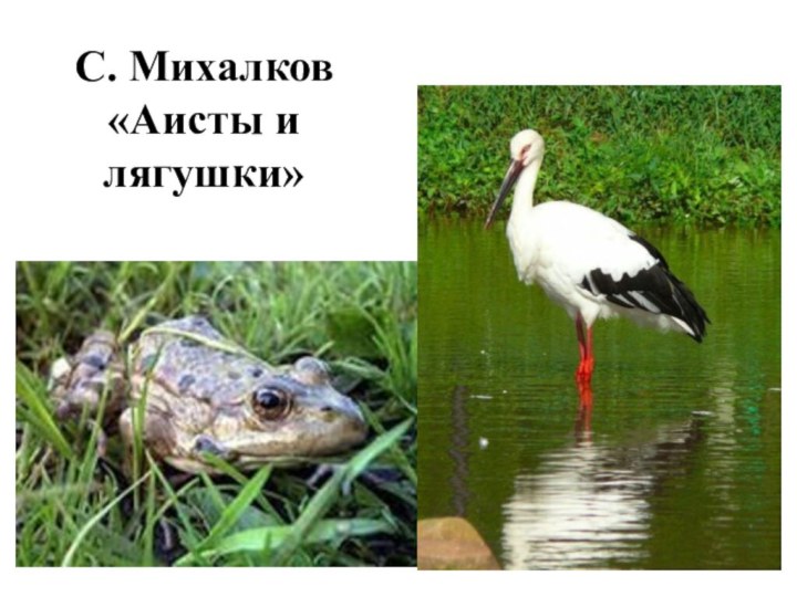 С. Михалков «Аисты и лягушки»