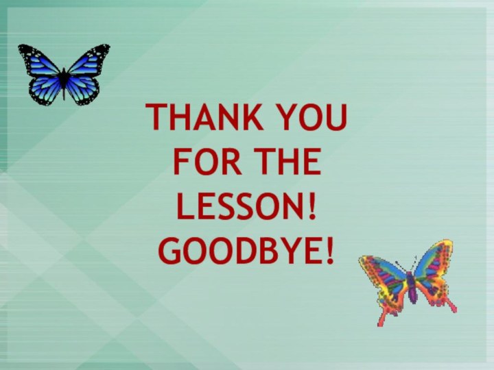 THANK YOU FOR THE LESSON!GOODBYE!
