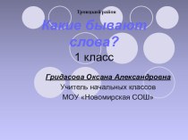 Какие бывают слова 1 класс методическая разработка по русскому языку (1 класс) по теме