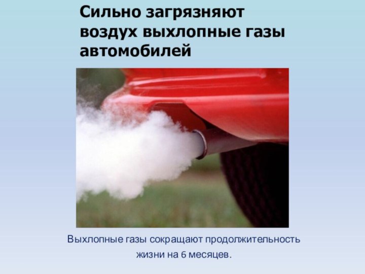Сильно загрязняют воздух выхлопные газы автомобилейВыхлопные газы сокращают продолжительность жизни на 6 месяцев.