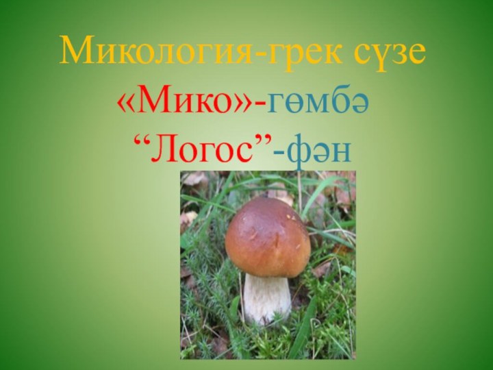Микология-грек сүзе «Мико»-гөмбә “Логос”-фән
