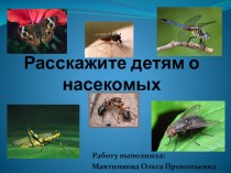 Презентация Расскажите детям о насекомых презентация к уроку по окружающему миру по теме