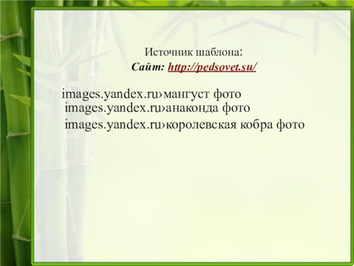 Источник шаблона: Сайт: http://pedsovet.su/ images.yandex.ru›мангуст фотоimages.yandex.ru›анаконда фотоimages.yandex.ru›королевская кобра фото