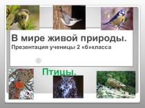 Птицы презентация к уроку по окружающему миру (2 класс)