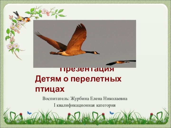 Презентация Детям о перелетных птицах Презентация