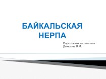 Конспект ОД Байкальская нерпа план-конспект занятия (старшая группа) по теме