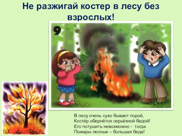 Не разжигай костер в лесу без взрослых!В лесу очень сухо бывает