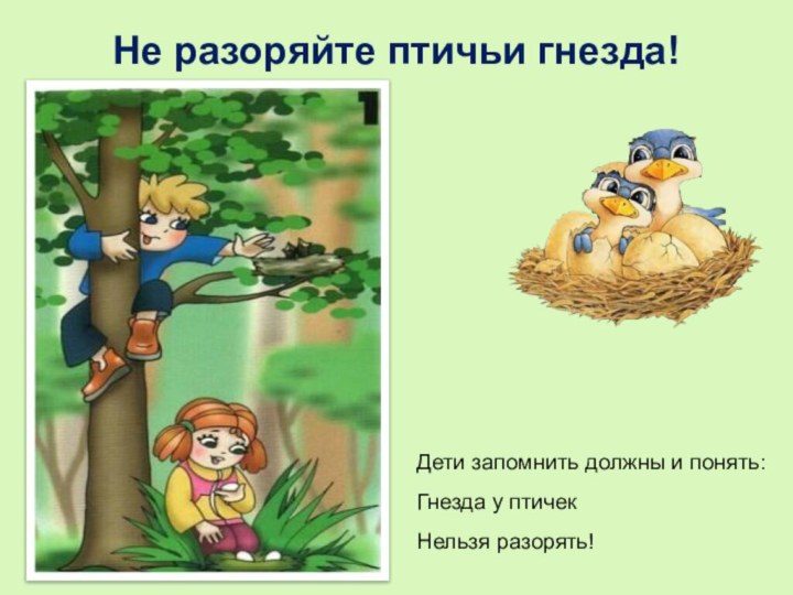 Не разоряйте птичьи гнезда!Дети запомнить должны и понять:Гнезда у птичекНельзя разорять!