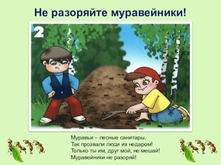 Не разоряйте муравейники!Муравьи – лесные санитары.Так прозвали люди их недаром! Только ты