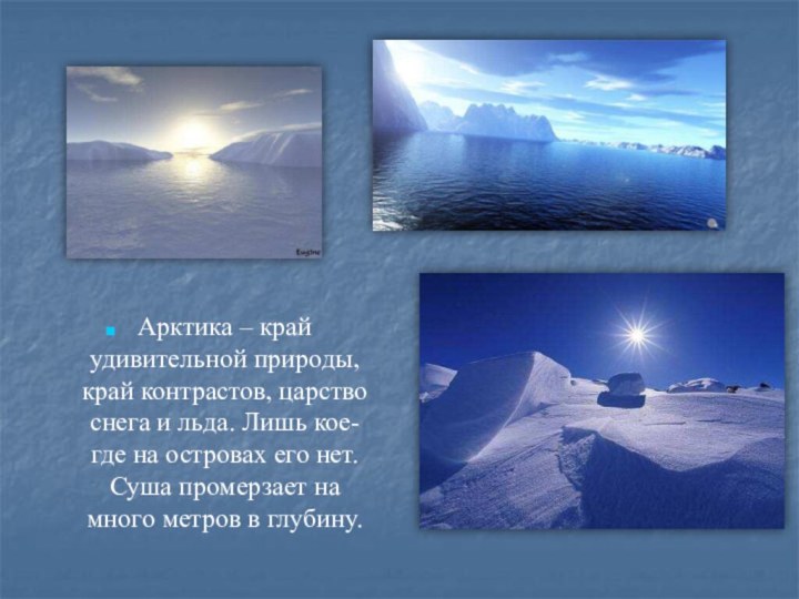 Арктика – край удивительной природы, край контрастов, царство снега и льда. Лишь