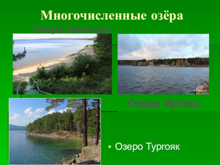 Многочисленные озёра Озеро Тургояк Озеро ИртяшОзеро Увильды