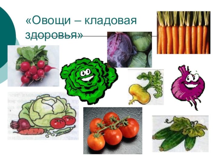 «Овощи – кладовая здоровья»
