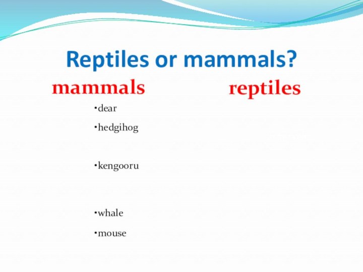 Reptiles or mammals?mammalsreptiles