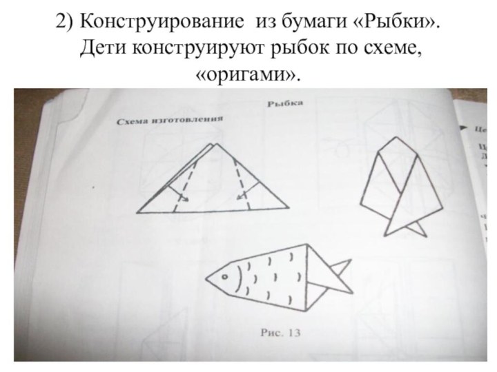 2) Конструирование из бумаги «Рыбки».  Дети конструируют рыбок по схеме, «оригами».
