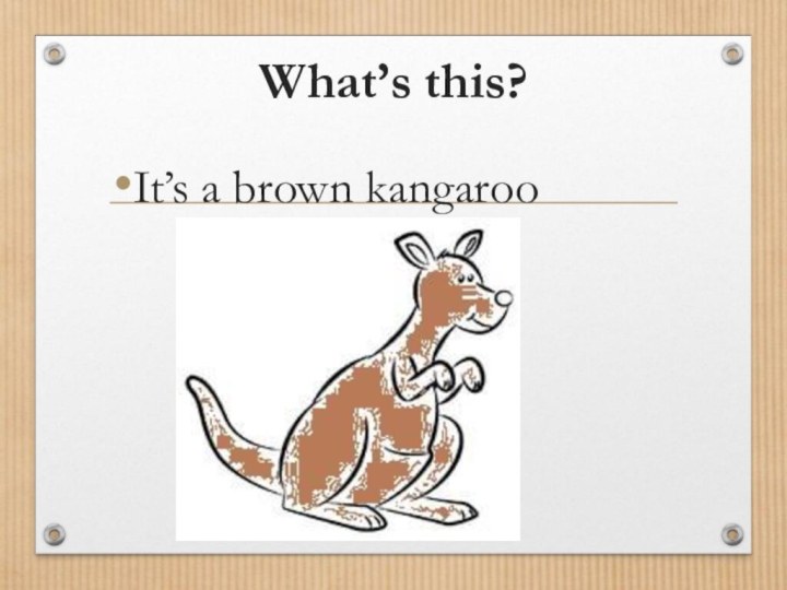 What’s this?It’s a brown kangaroo
