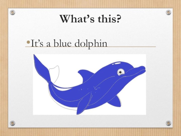 What’s this?It’s a blue dolphin