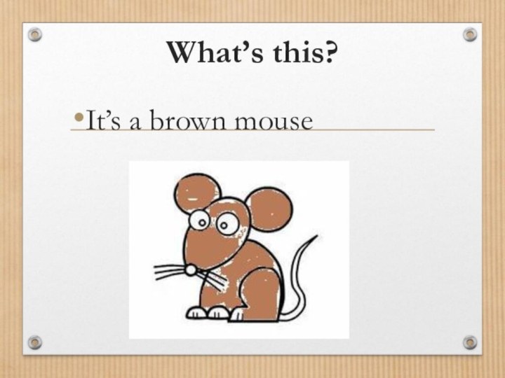What’s this?It’s a brown mouse