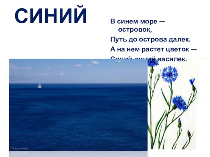 СИНИЙВ синем море — островок,Путь до острова далек.А на нем растет цветок —Синий-синий василек.