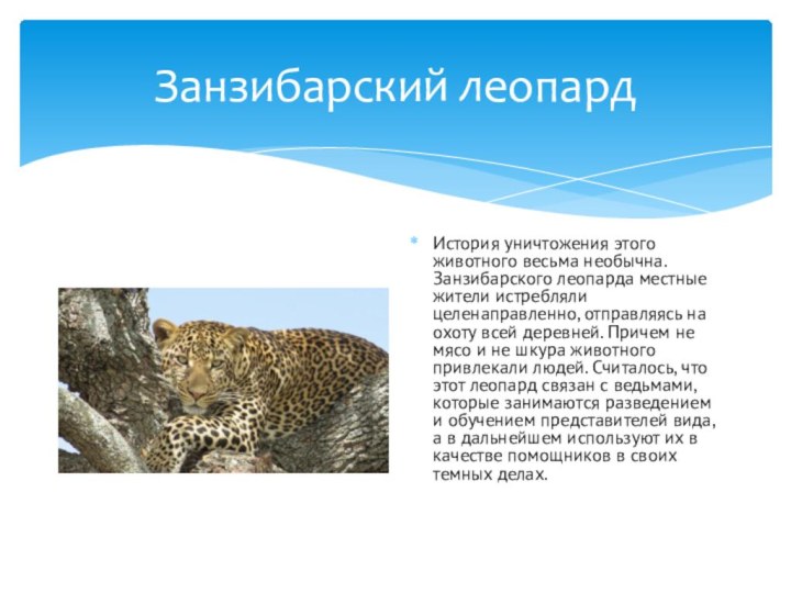 Занзибарский леопардИстория уничтожения этого животного весьма необычна. Занзибарского леопарда местные жители истребляли