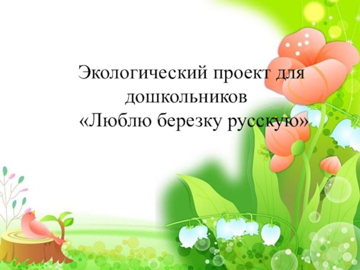 Экологический проект для дошкольников «Люблю березку русскую»