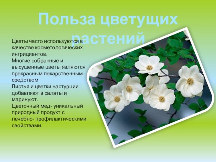 Польза цветущих растенийЦветы часто используются в качестве косметологических ингридиентов.Многие собранные и